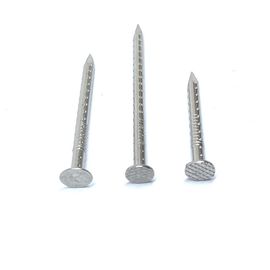 A pata oca de 5.0X100MM sulcou os pregos principais lisos 316 de aço inoxidável