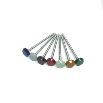 316 lustrados Ring Shank Plastic Head Nails de aço inoxidável