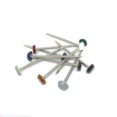 Anti PA6 pinos de aço inoxidável de nylon UV da cabeça A4