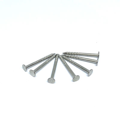 1.6X19MM Ring Shank 316 pregos principais lisos de aço inoxidável