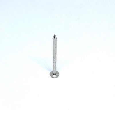 Quatro pregos A4 de aço inoxidável lisos da cabeça 2.8X30MM da pata da cavidade para a madeira