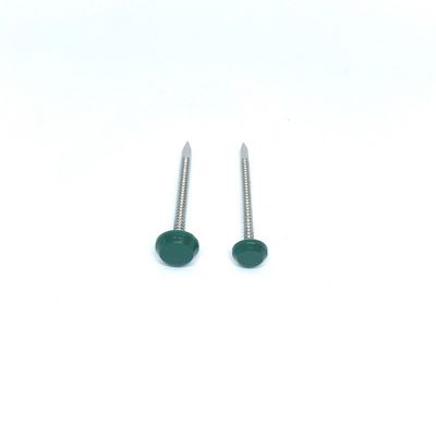 A cabeça plástica material do ponto A4 do tubarão prega resistente à corrosão