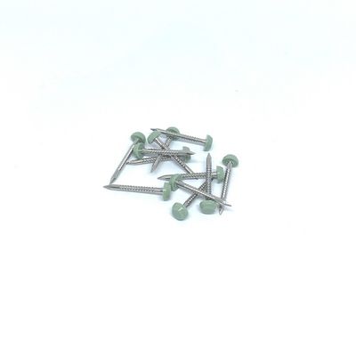 Placas anulares de Ring Nails For UPVC do ponto do tubarão de SS316 25MM