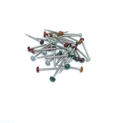 Aço anular de nylon 304L de PA6 Ring Plastic Headed Pins Stainless