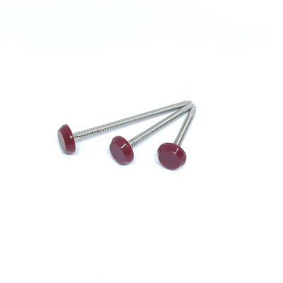 65MM A2 de aço inoxidável Ring Nails Nylon anular PA6
