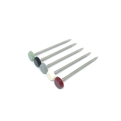 Pregos principais plásticos de nylon do comprimento de 65MM com pata rodeado