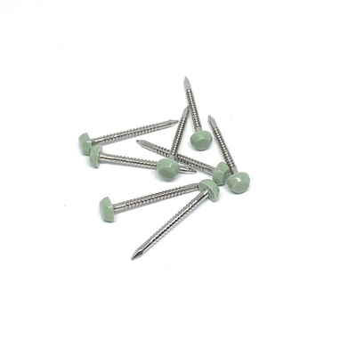 A2/A4 de aço inoxidável Ring Shank Plastic Head Nails 2.0X30mm