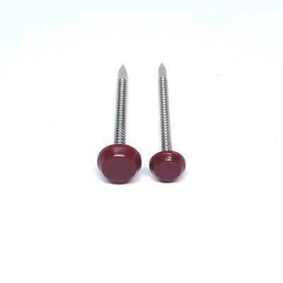 Ring Shank Plastic Head Nails para o comprimento A4 da construção 50mm de aço inoxidável