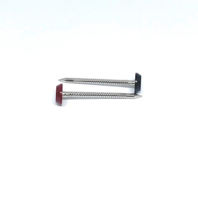 Ring Shank Plastic Head Nails anular para o telhado 3.0X50MM