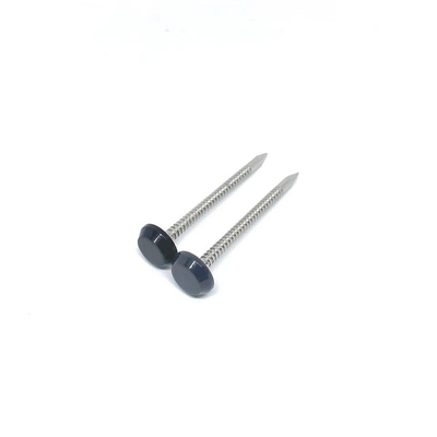 A4 Ring Shank Plastic Head Nails de aço inoxidável enegrecem o cinza 50MM da antracite