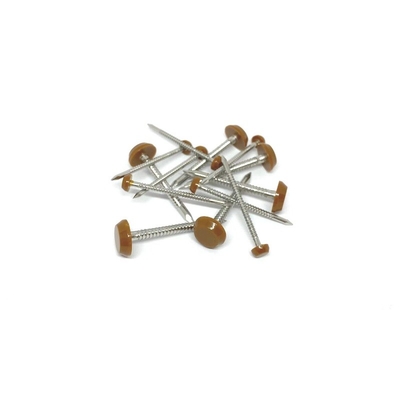 Ral 8003 anti pinos & pregos principais plásticos UV de Brown para telhar 2,0/3.0X40mm