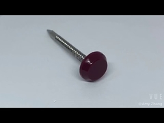 Prego com cabeça de plástico de aço inoxidável