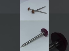 Construção de aço inoxidável cabeça de plástico pregos / pinos SUS316 Poly Top Pins 30mm